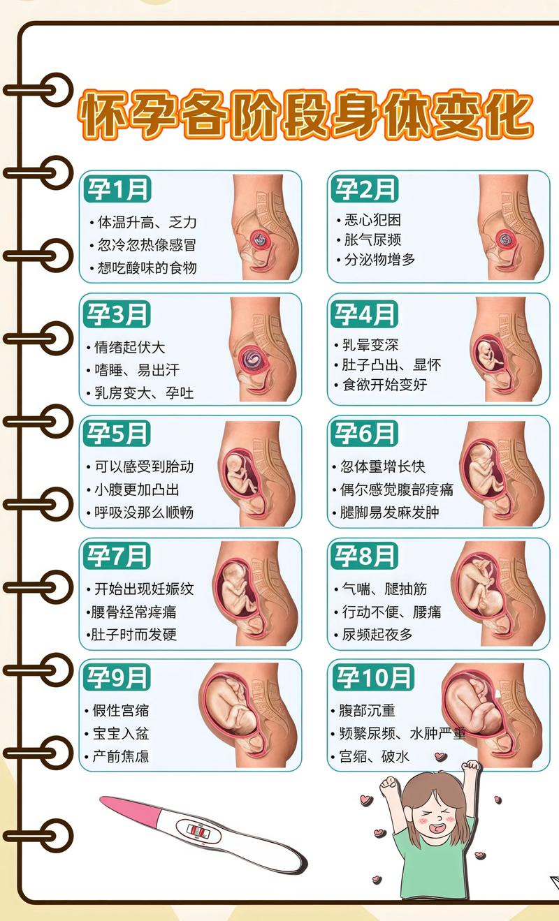 揭秘供卵代孕妈妈怀孕小腹分两节，孕期变化的奥秘汕头代生机构: